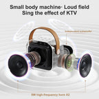 Professional Singing Bluetooth $peaker ColumnSpeaker High-end Ktv Karaoke Microphone Bluetooth Audio Wireless Mic Lootquake LLC