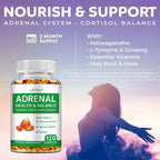 Adrenal Support - Releases Adrenal Fatigue, Cortisol Manager, Relaxes Stress and Anxiety, and Boosts Mood - 120 Capsules Lootquake LLC