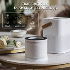 Day Dawning ADH70 Desktop Air Purifier Airthereal