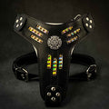 The Atlantis Harness Bestia Dog Gear
