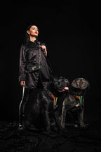 The ''D`Albertis'' harness LIMITED - SJB-DIAMOND ELITES