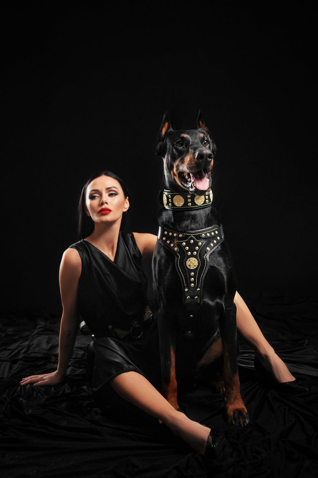 The "Maximus" harness V2 - SJB-DIAMOND ELITES