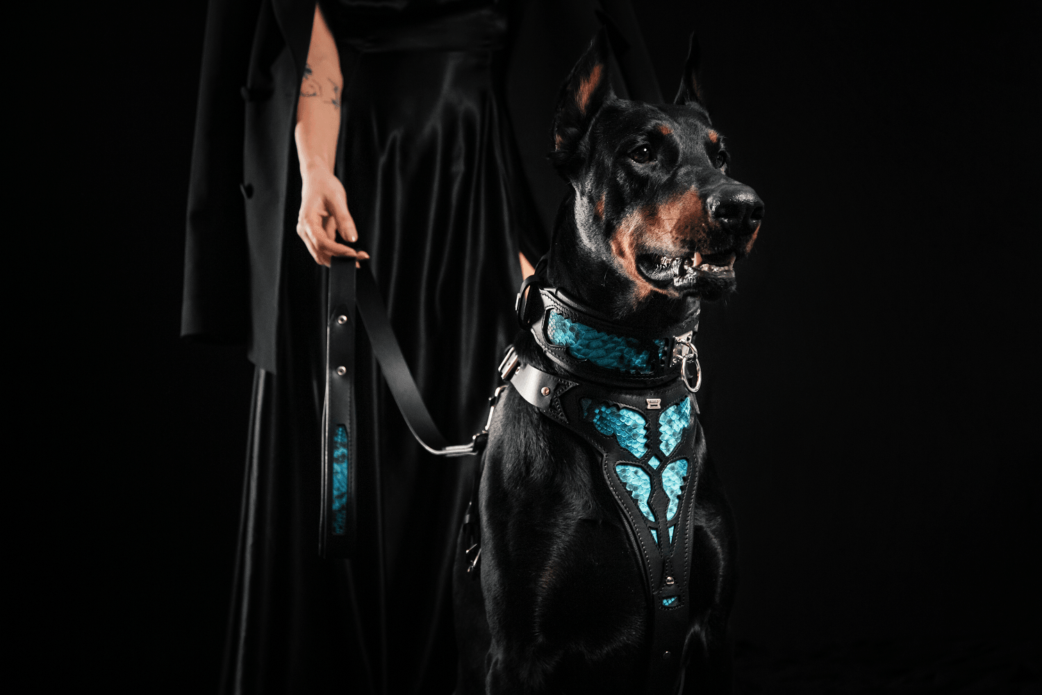 The ''Morelia Python'' harness - SJB-DIAMOND ELITES