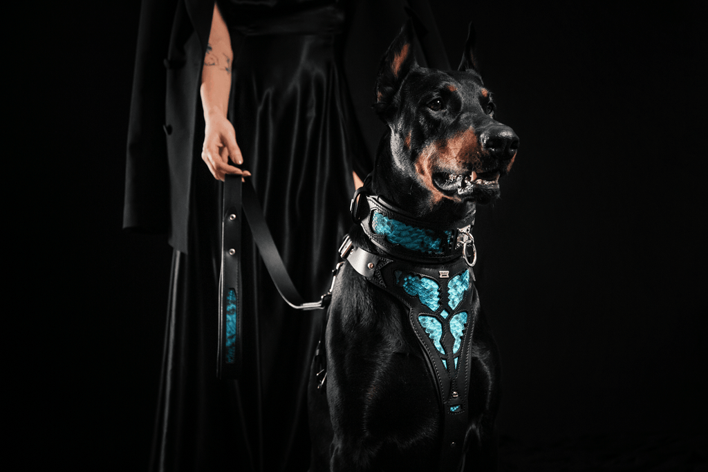 The ''Morelia Python'' leash - SJB-DIAMOND ELITES