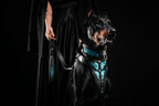 The ''Morelia Python'' leash - SJB-DIAMOND ELITES