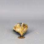Beautiful Blue Kyanite Blades In Quartz Clusters