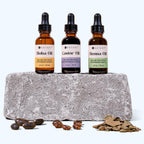 Travel Kits – 4 Travel Rituals for Face & Hair Katari Beauty
