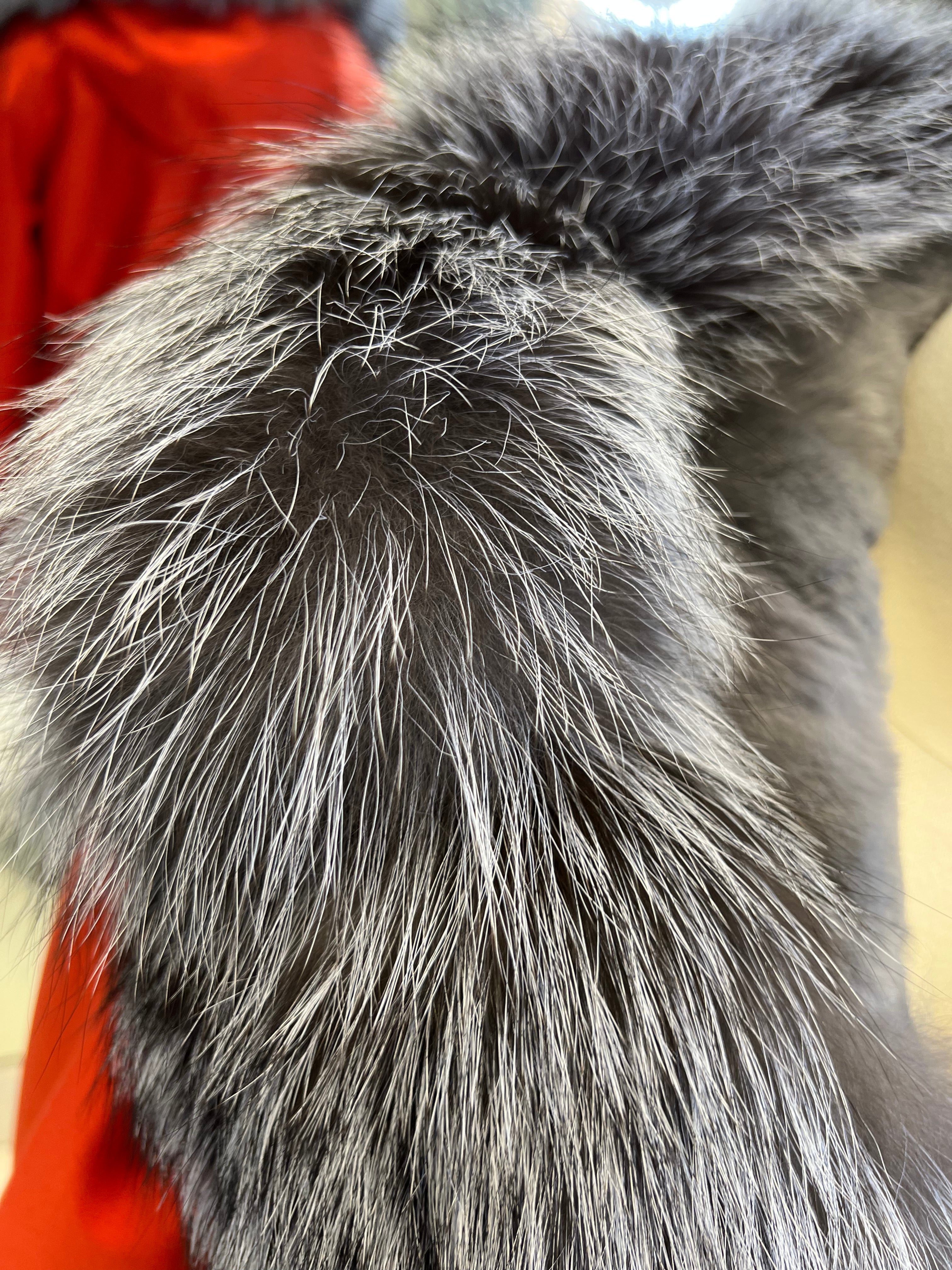Roma Genuine Silver Fox Fur Rabbit Fur Insulated Parka in Red Alaska® Outerwear Company
