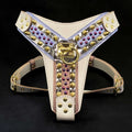 THE CANDY Harness Bestia Dog Gear