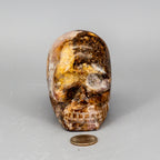 Crystal Skulls - Agate, Rose Quartz & Anhydrite 794g One-of-a-Kind Crystal Destiny
