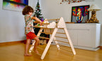 Versatile Montessori Climbing Set with Folding Table and Chair Lootquake LLC