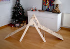 Versatile Montessori Climbing Set with Folding Table and Chair Lootquake LLC