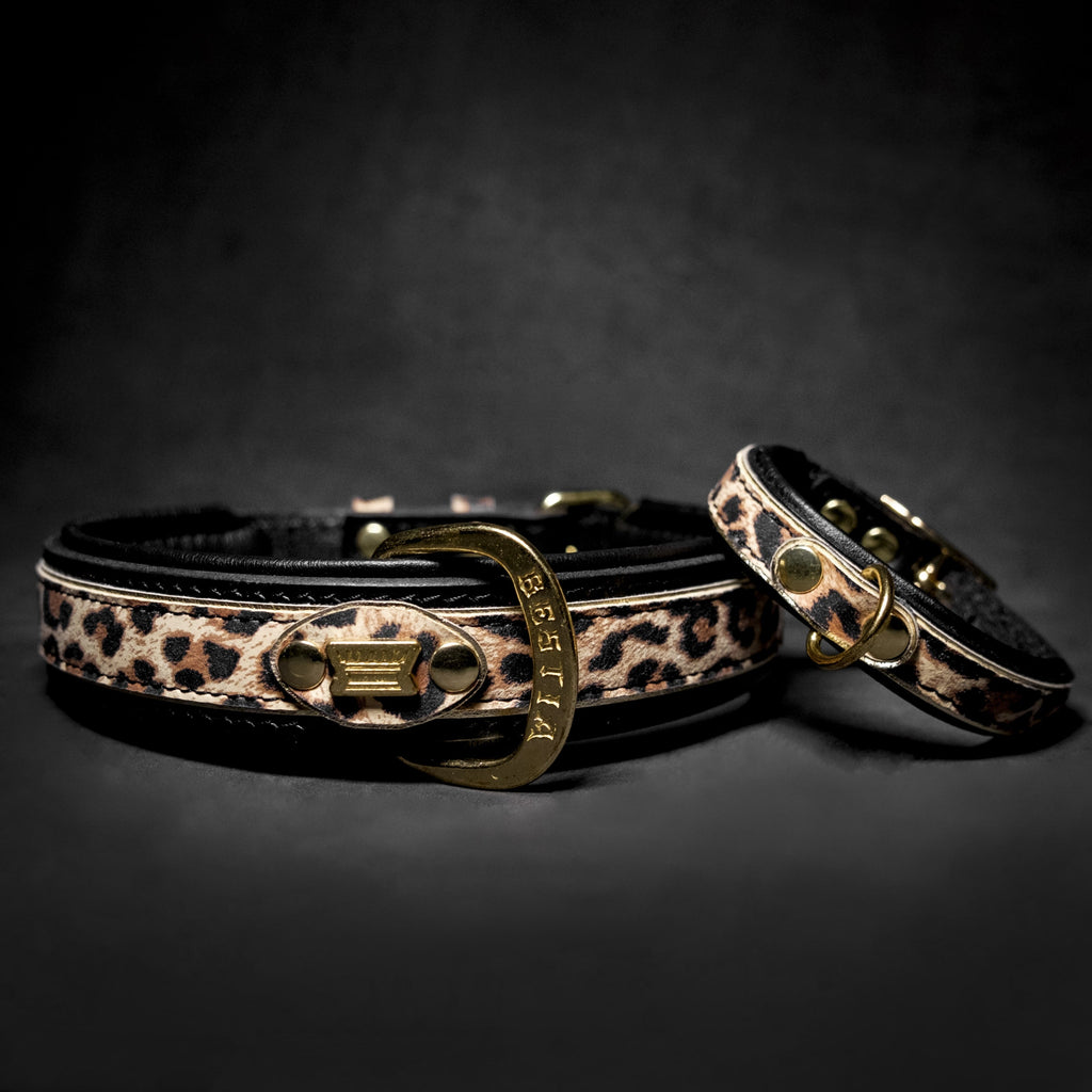 The Leopard Collar Bestia Dog Gear