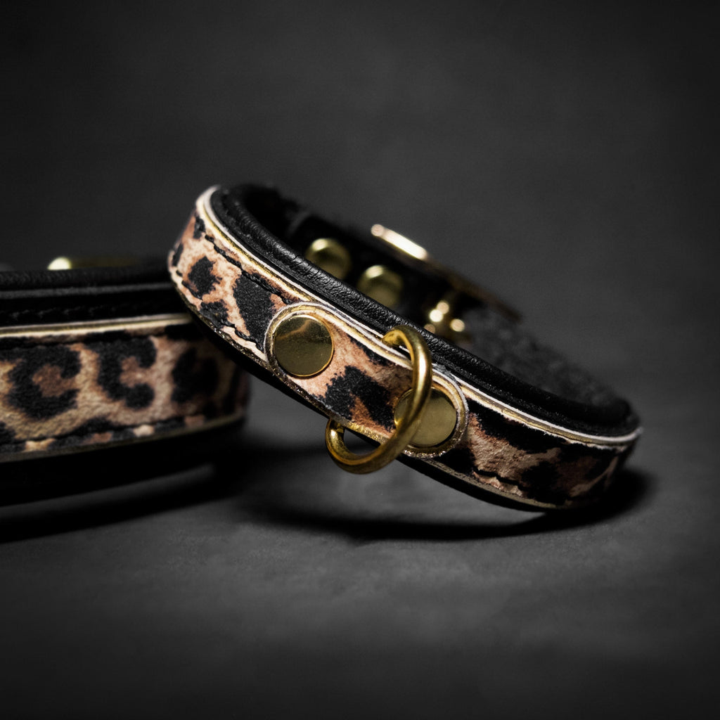 The Leopard Puppy Collar Bestia Dog Gear