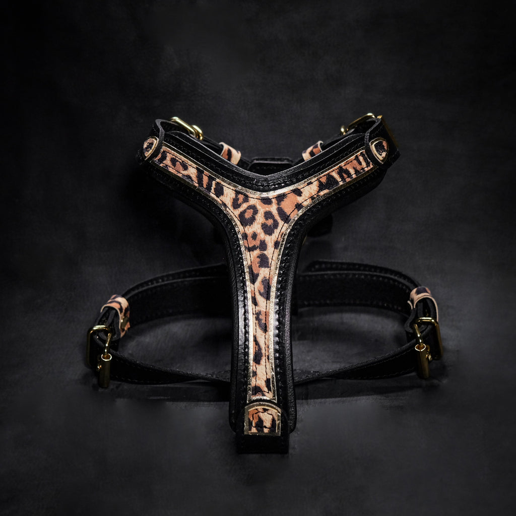 The Leopard Harness Small to Medium Size Bestia Dog Gear
