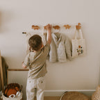 Dinosaurs Wall Hooks - SJB-DIAMOND ELITES
