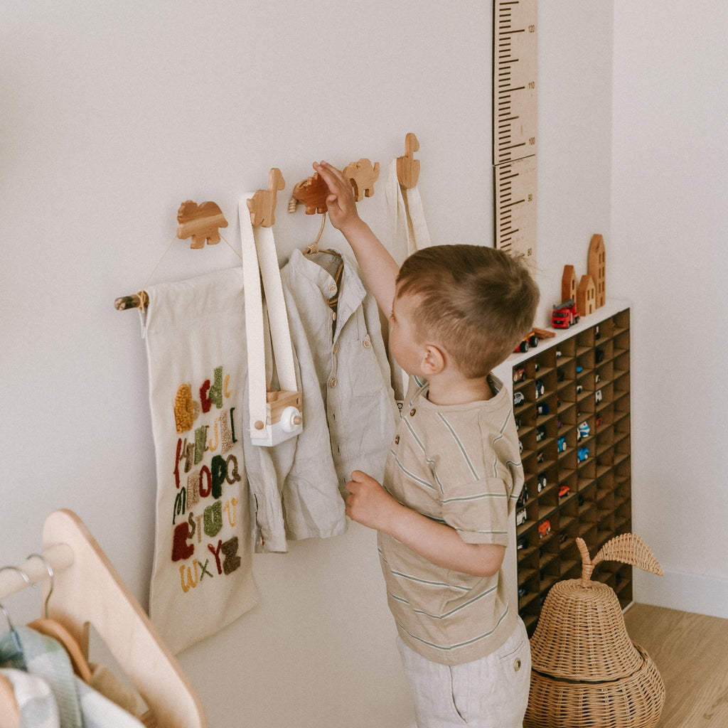 Dinosaurs Wall Hooks - SJB-DIAMOND ELITES