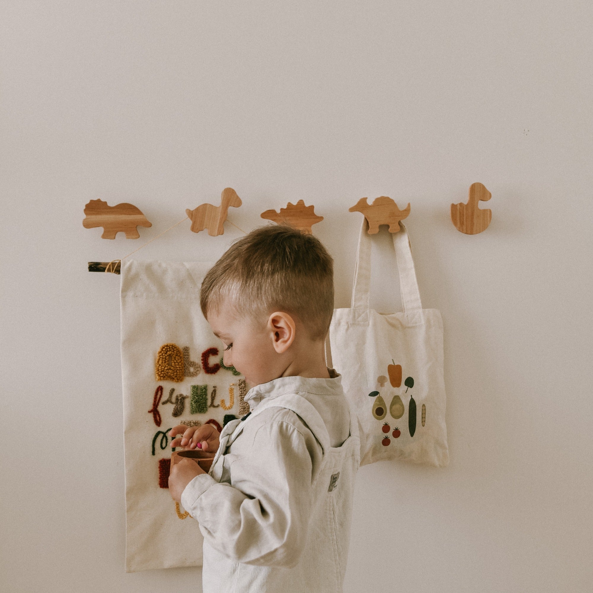 Dinosaurs Wall Hooks - SJB-DIAMOND ELITES