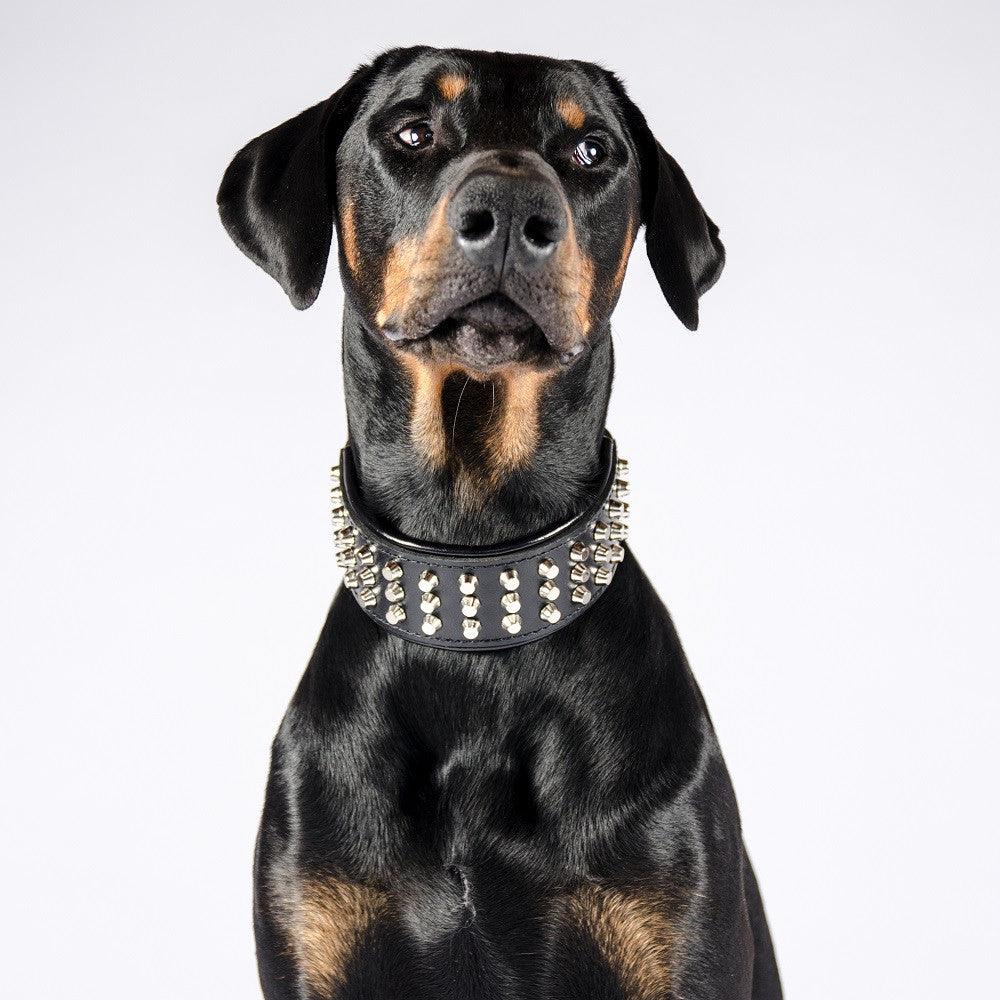 The "Stud" dog collar - SJB-DIAMOND ELITES