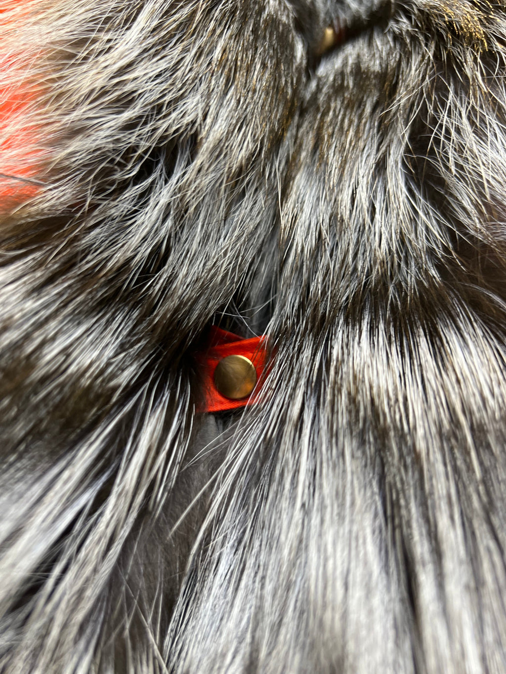 Roma Genuine Silver Fox Fur Rabbit Fur Insulated Parka in Red Alaska® Outerwear Company