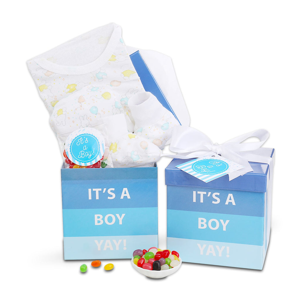 It's A Boy Gift Box Alder Creek Gift Baskets