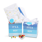 It's A Boy Gift Box Alder Creek Gift Baskets
