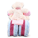 Pink Tricycle Diaper Cake Gift Alder Creek Gift Baskets