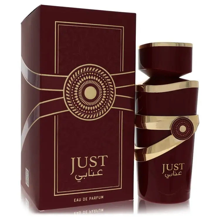 Just Anabi By Fragrance World Perfume for Women Gamer Scents