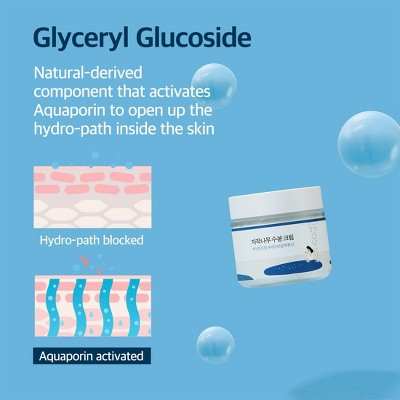 Round Lab Birch Juice Moisturizing Cream Korean Skincare for Long-Lasting Hydration and Skin Barrier Repair 80ml - Missing Box This is Beauty US