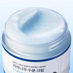 Round Lab Birch Juice Moisturizing Cream Korean Skincare for Long-Lasting Hydration and Skin Barrier Repair 80ml - Missing Box This is Beauty US