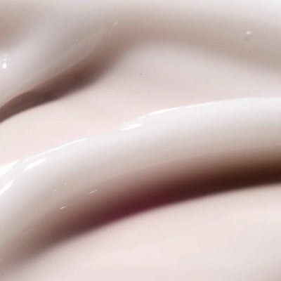 The Face Shop Rice Water Bright Vegan Cream 1.69 fl oz - New This is Beauty US