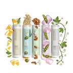 Paul Mitchell Clean Beauty Everyday Shampoo 8.5 fl oz - New This is Beauty US