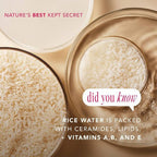 The Face Shop Rice Water Bright Vegan Cream 1.69 fl oz - New This is Beauty US