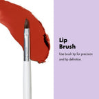 e.l.f. Professional Brush Kit 12ct - New This is Beauty US