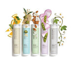 Paul Mitchell Clean Beauty Everyday Shampoo 8.5 fl oz - New This is Beauty US