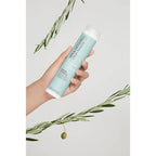 Paul Mitchell Clean Beauty Hydrate Shampoo 8.5 fl oz - New This is Beauty US
