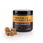 BDS Gain Muscle Dog Food Supplement - SJB-DIAMOND ELITES