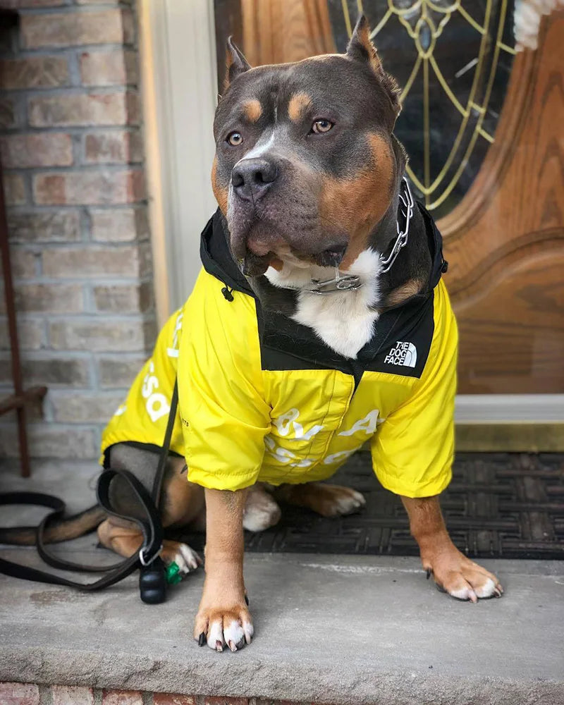 PawGuard RainCoat: Stylish Windbreaker for Dogs THRIXINE