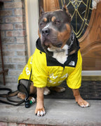 PawGuard RainCoat: Stylish Windbreaker for Dogs THRIXINE