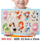 New Hand Grab Board Wooden Puzzle Toys for Children Cartoon Animal Fruit  Kids Baby Early Educational Learning Toy - SJB-DIAMOND ELITES