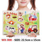 New Hand Grab Board Wooden Puzzle Toys for Children Cartoon Animal Fruit  Kids Baby Early Educational Learning Toy - SJB-DIAMOND ELITES
