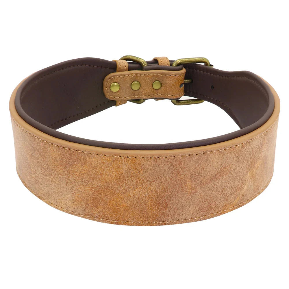 The Wide Luxe Collar - Padded Leather for Large Dogs Fashioned Furbabies