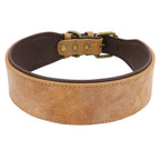 The Wide Luxe Collar - Padded Leather for Large Dogs Fashioned Furbabies