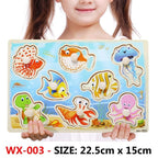 New Hand Grab Board Wooden Puzzle Toys for Children Cartoon Animal Fruit  Kids Baby Early Educational Learning Toy - SJB-DIAMOND ELITES