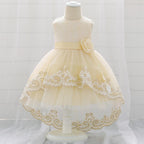 New Baby  Lace  Gown Clothes Embroidered Tail Princess Unique  Dress Perfect Gift For Girls