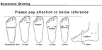 Modern Sport KIds and Baby Sneakers Shoes Anti slip Soft Bottom Baby Sneaker In Casual Flat Sneakers Shoes Children Girls and Boys Sports Shoes Style