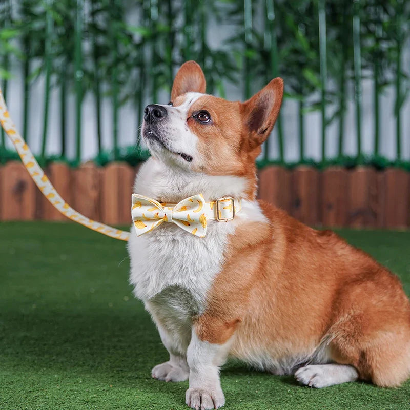 Free Engrave Personalized Banana Design Bow Dog Collar Leash Traction Rope For Small Big  Adjustable Pet Straps Fruit 02 Lootquake LLC