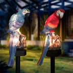 Decorative LED Garden Waterproof Yard Lamp In Shape Of Parrot Outdoor Resin Solar Lights For Pathway Doorway Lawn - SJB-DIAMOND ELITES