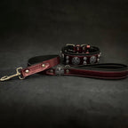 The "Hektor" Burgundy Collar LIMITED - SJB-DIAMOND ELITES
