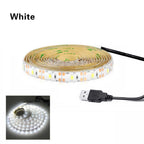 Stevvex Bedside Lights Wireless Night Mode WIth USB Powered Human Body Detector LED Strip Tape for Stairs Corridor - SJB-DIAMOND ELITES